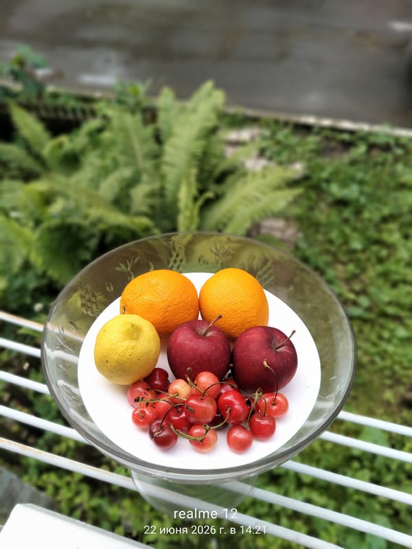 Everyday snapshots from a home in Shchyolkovo, Russia