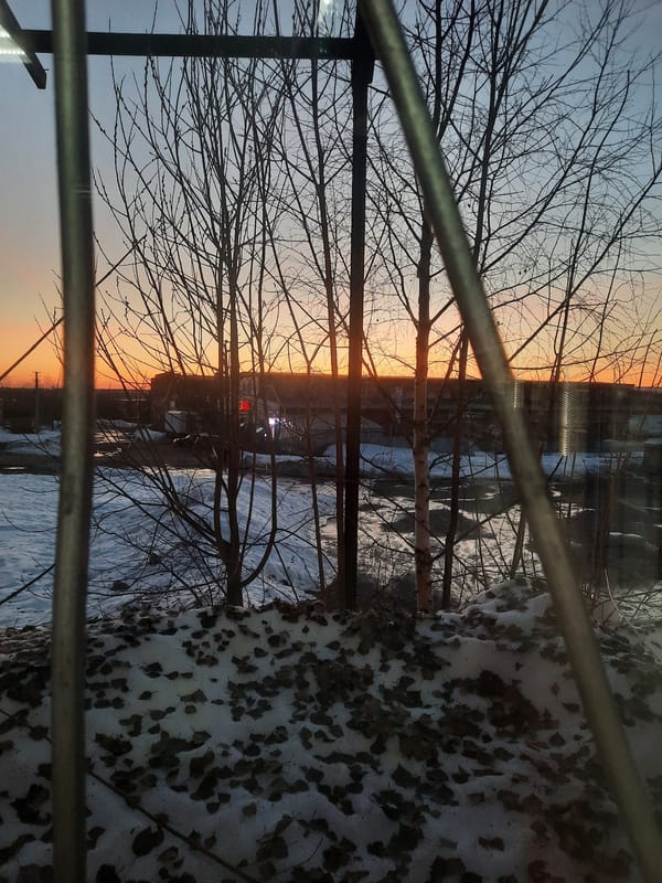 Sunset captured through fence in Krasnogorskoye, Russia