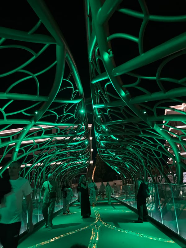 Evening stroll memories captured across illuminated Sochi attractions and coastline