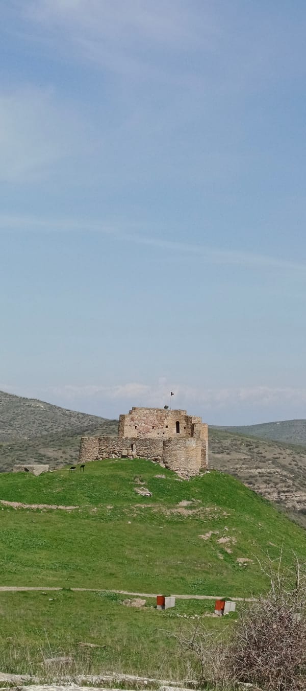 Ancient Armenian khachkars and fortress ruins documented in Berdavan