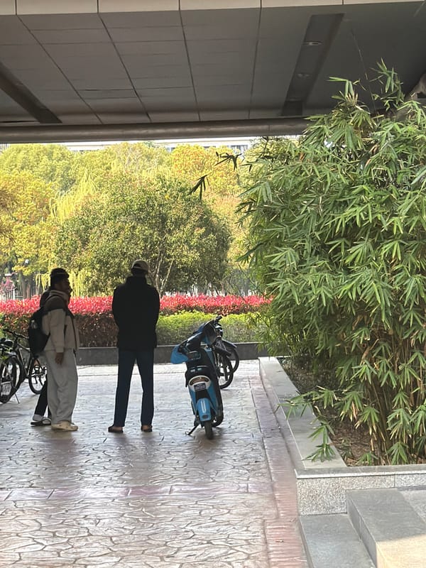 Spring blossoms and campus life captured in Jiangning District
