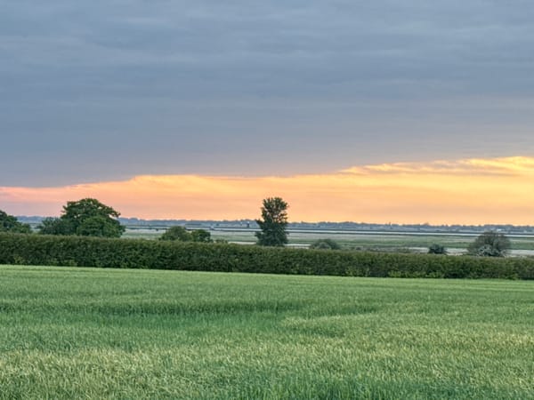 Rural Great Yarmouth countryside documented near Bradwell Hall at sunset