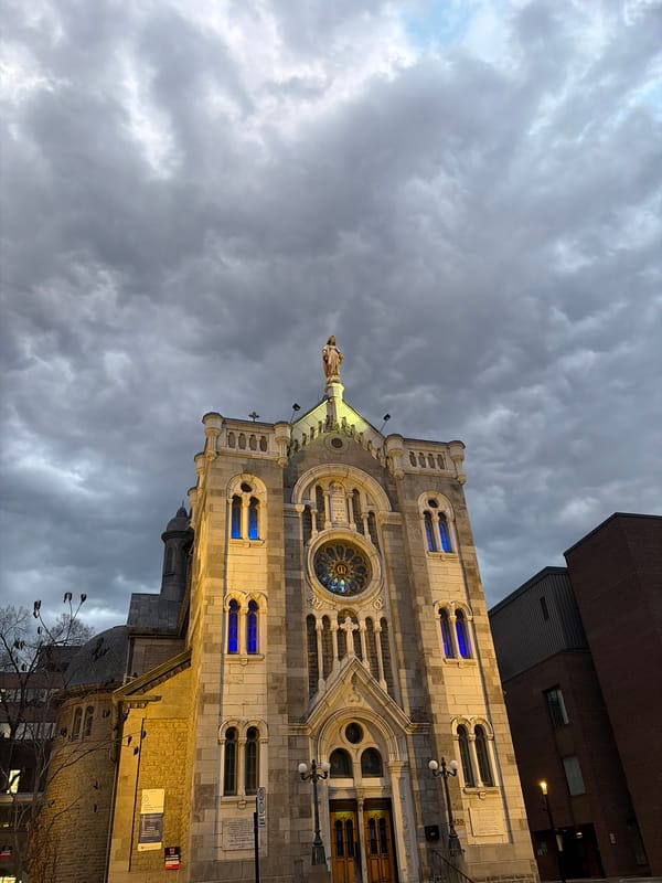 Students study with laptops in Montreal library Thursday evening