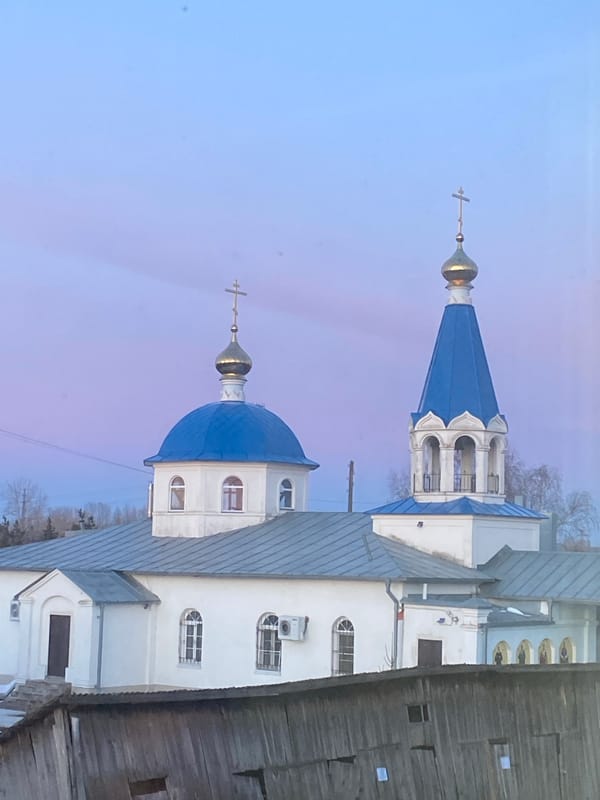 Family documents quiet Sunday with beloved gray cat in Noviy