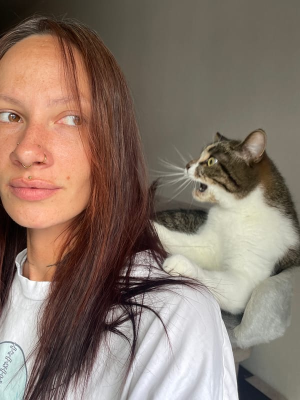 Portrait and tabby cat on a grey cat tree, Pervomaysky