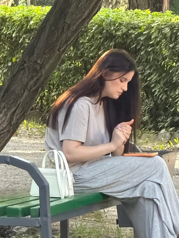 Afternoon scenes in an urban park setting