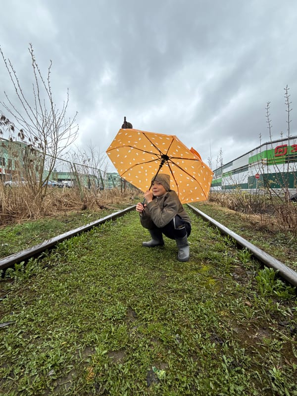 Umbrella moments captured near Dmitrov railway tracks during overcast weather