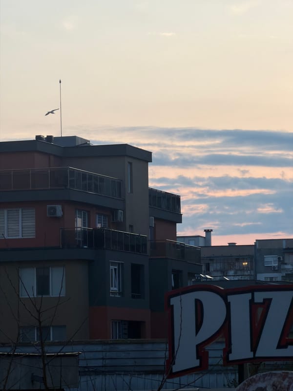 Spring afternoon moments captured across Varna, Bulgaria