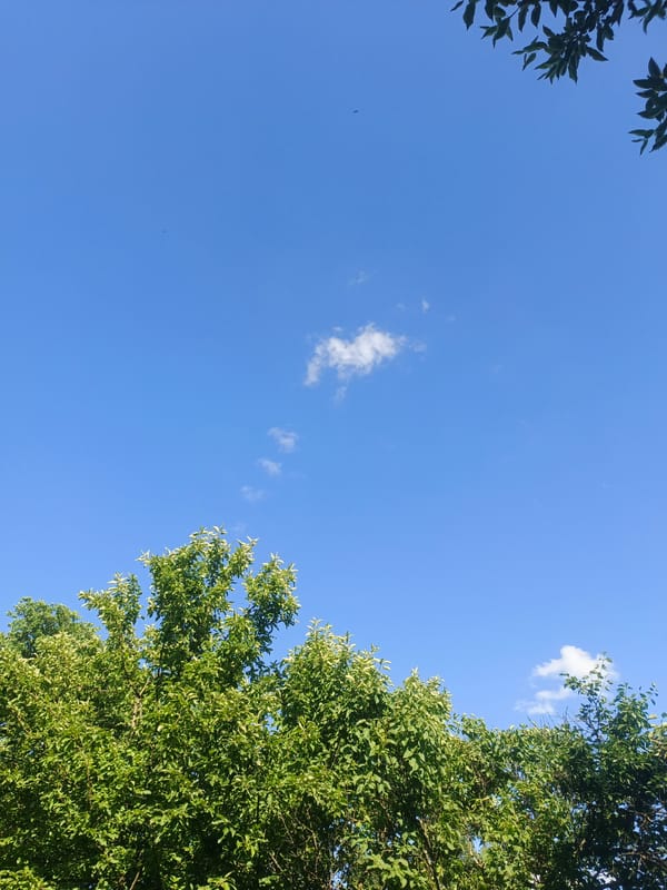 Lazy afternoon in Ufa: pets, blue skies, and a pep talk