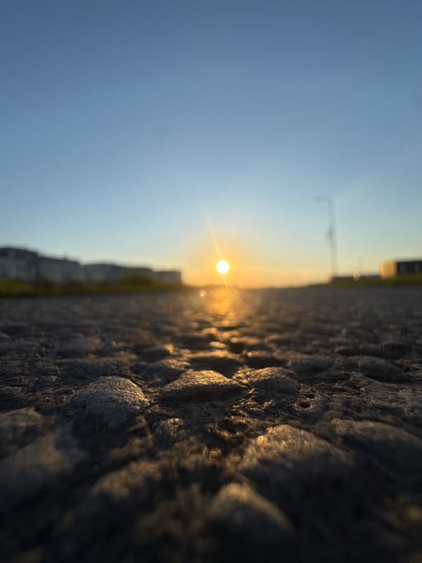 Golden hour sunset documented from multiple angles in Tiskre, Estonia