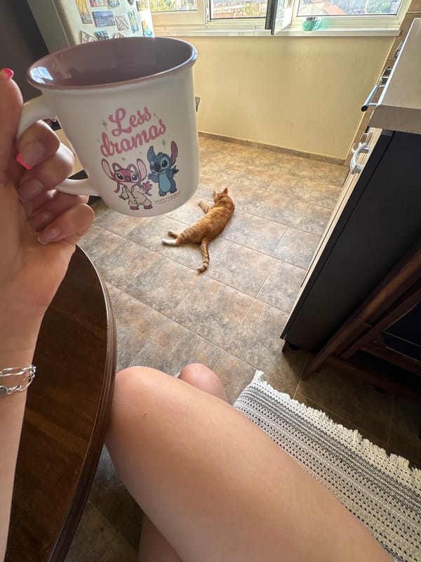 Early morning pet moments captured in Bulgarian home
