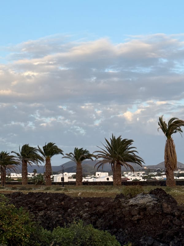 Palm-lined coast observed in Yaiza, Spain with mountain backdrop
