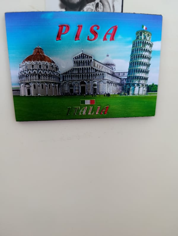 Tourist souvenirs and pet captured in mixed indoor memories