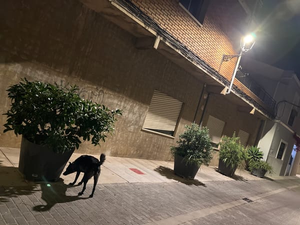 Evening life documented across Picassent, Spain through personal moments