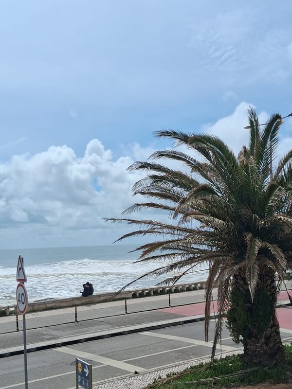 Casual architecture and palm tree scenes documented in Figueira da Foz