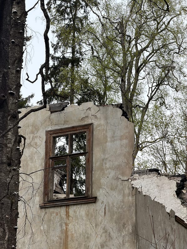 Spring nature scenes documented across northwestern Russia