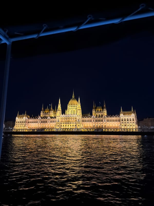 Budapest Parliament Building illuminated at night along Danube River