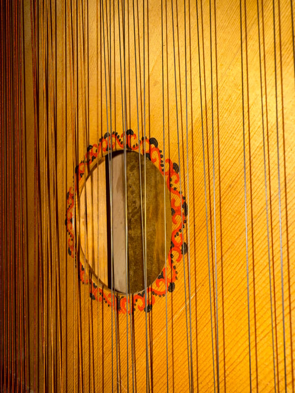 Instruments, wildlife, and everyday objects across an afternoon