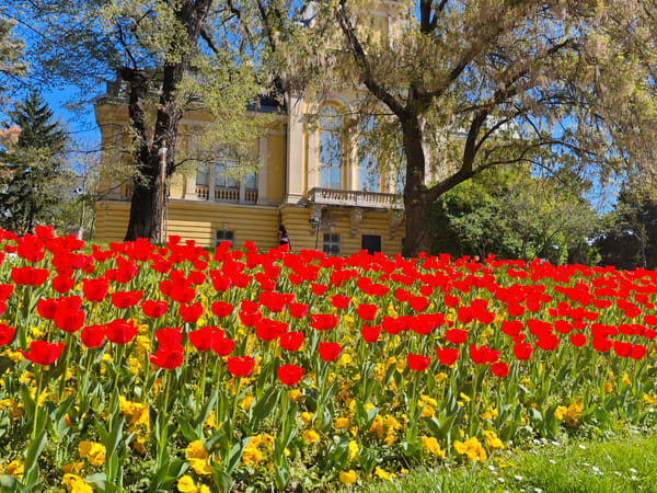 Spring blooms and outdoor dining documented in Sofia park