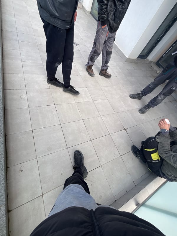 Dead bird found near construction site in Plovdiv