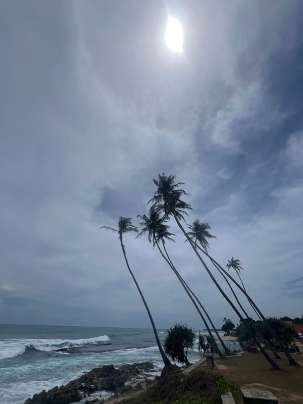 Morning coastal scenes documented along southern Sri Lankan shore