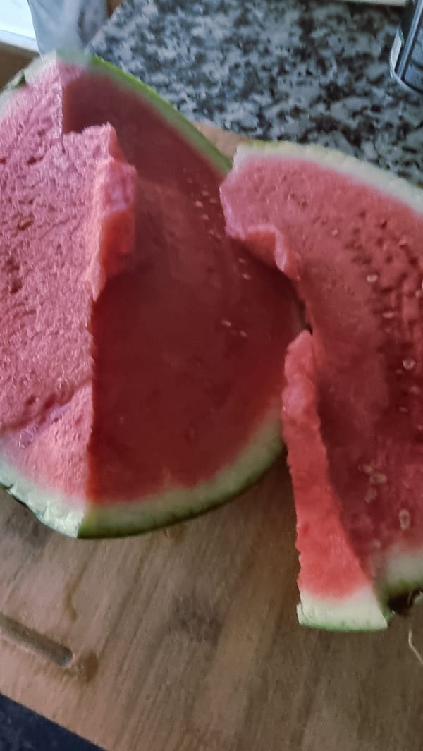 Watermelon preparation and consumption documented in Sant Joan Les Fonts
