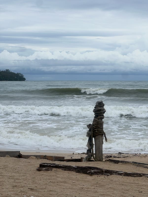 Stormy beach scenes and a cat napping at home