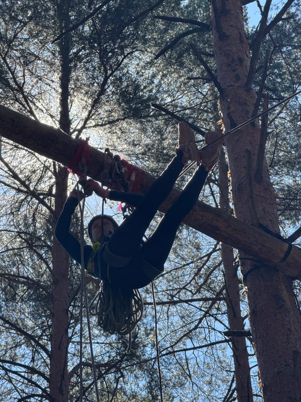 Young adventurers tackle ropes course in Chaikovsky forest park