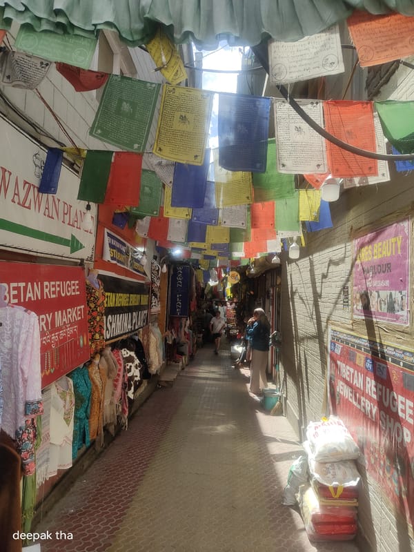 Morning stroll through Leh's market district and landmarks