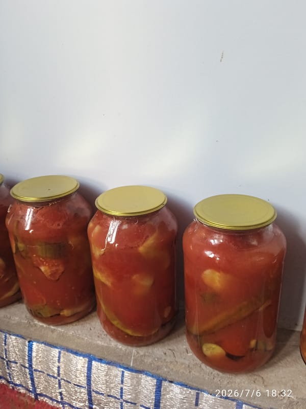 Homemade tomato preserves jarred up in Kurganabad