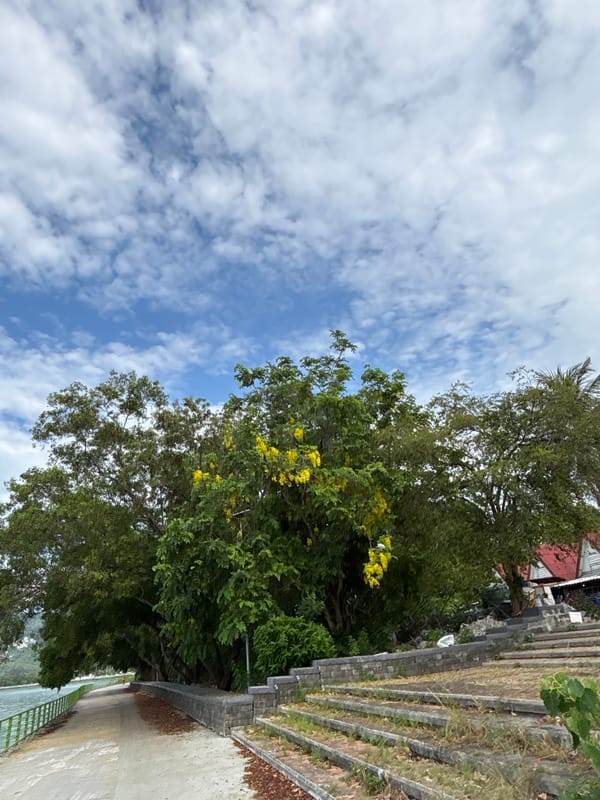 Early morning walk captured along waterfront in บ้านบางรักษ์, Thailand