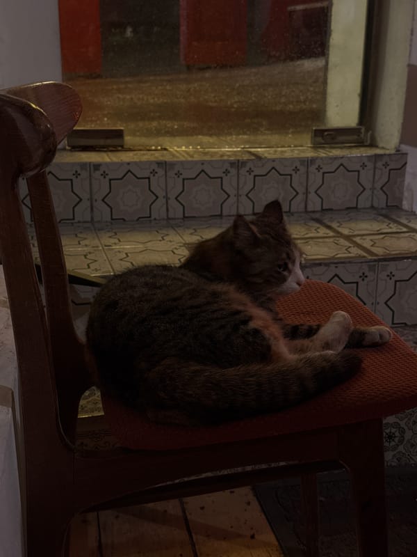 Street vendor prepares hot dogs in Yerevan eatery