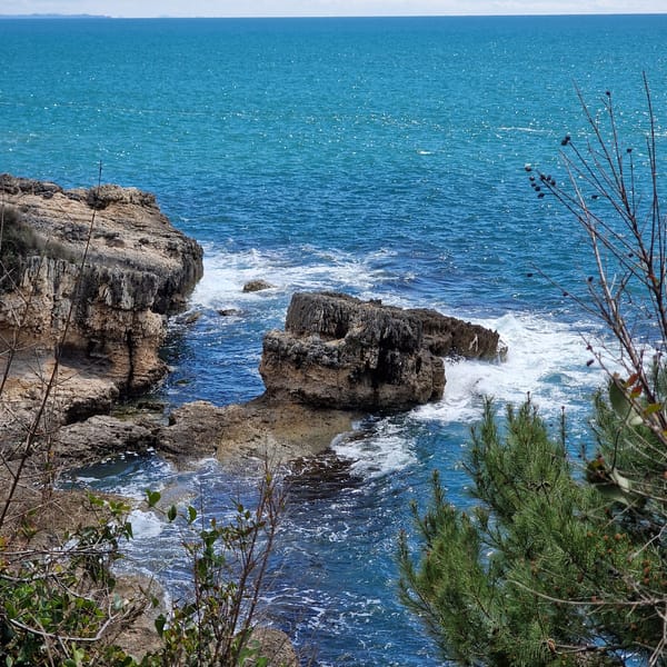 Coastal nature exploration documented in Ulcinj, Montenegro