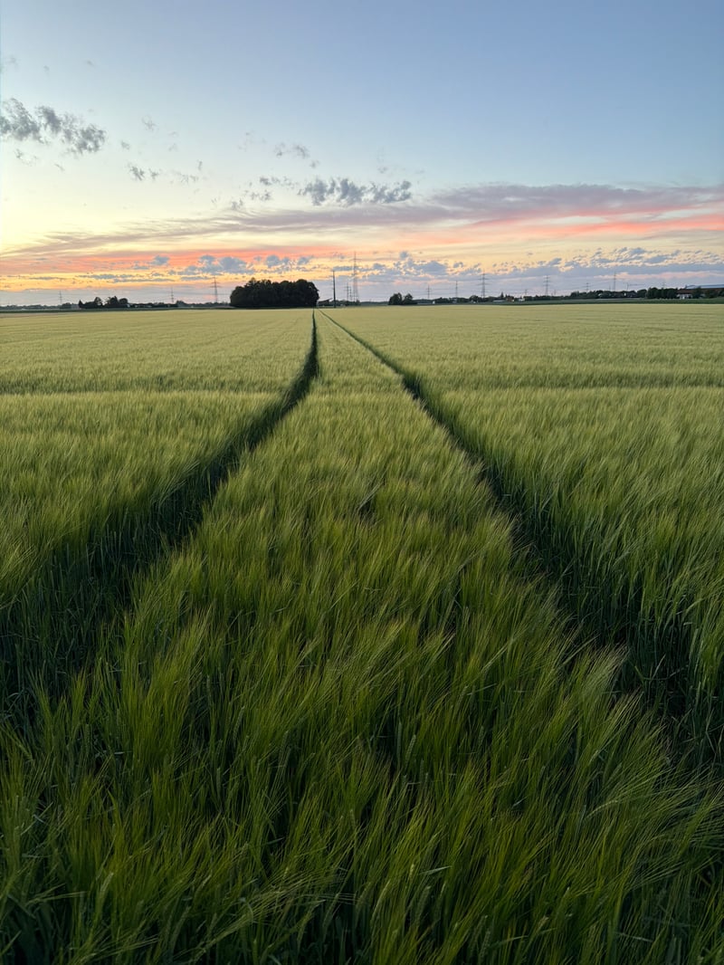belka_foto